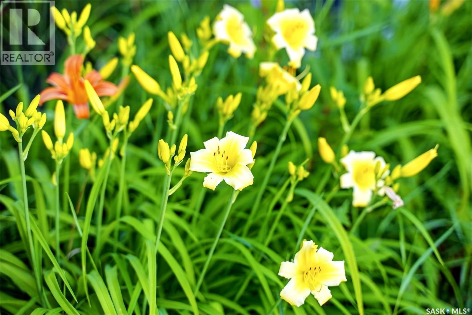 Photo 54 of 66