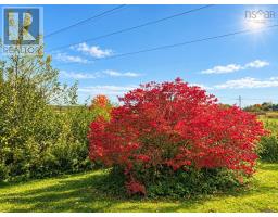 13030 Highway 2, Central Onslow, NS B6L5C6 Photo 23