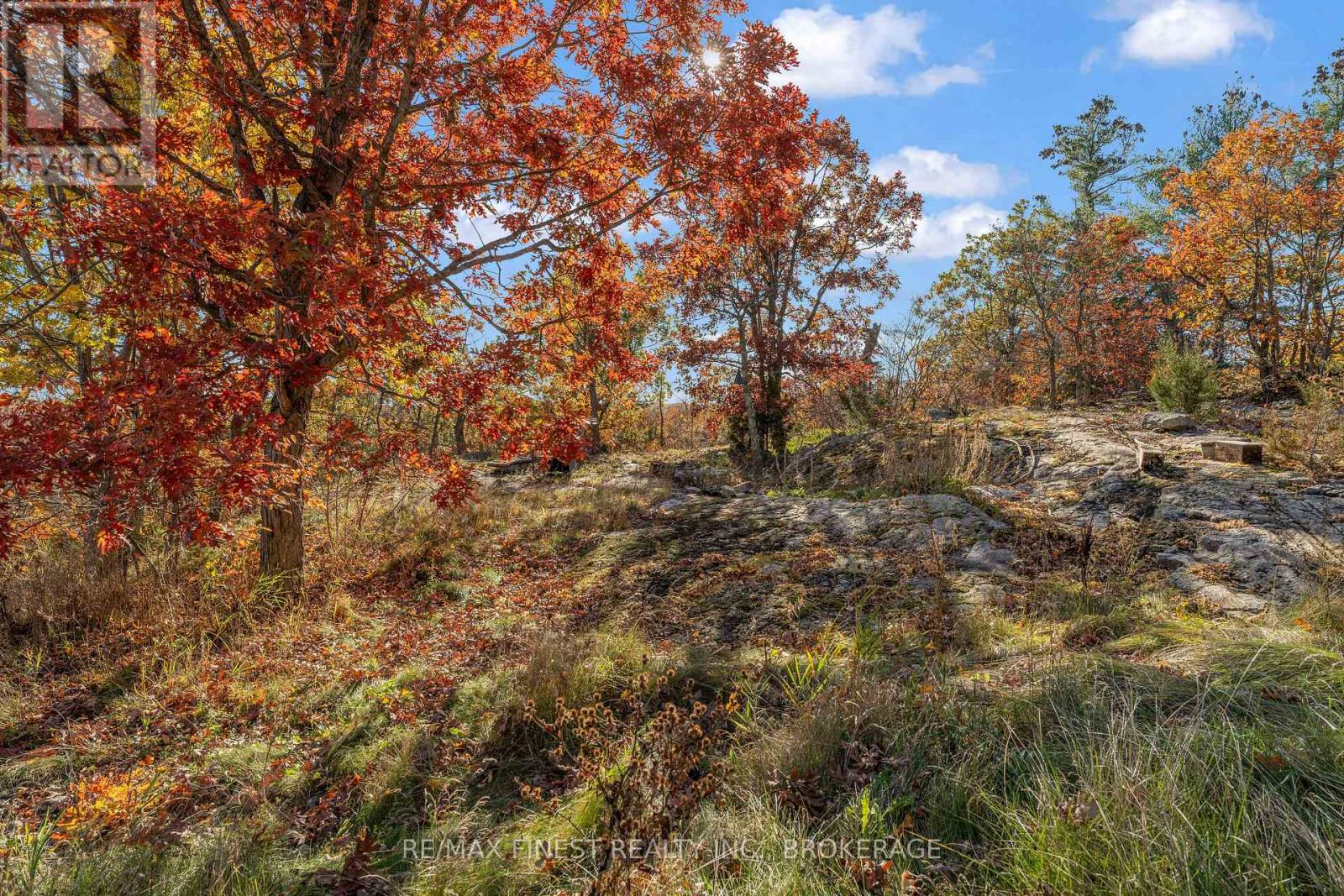 1035 SWEETFERN LANE - 42