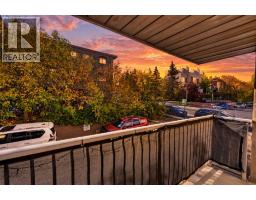 105, 835 19 Avenue Sw, Calgary, AB T2T0H6 Photo 25
