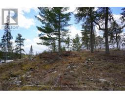 19a Miller Road, Sioux Narrows Nestor Falls, ON P0X1N0 Photo 28