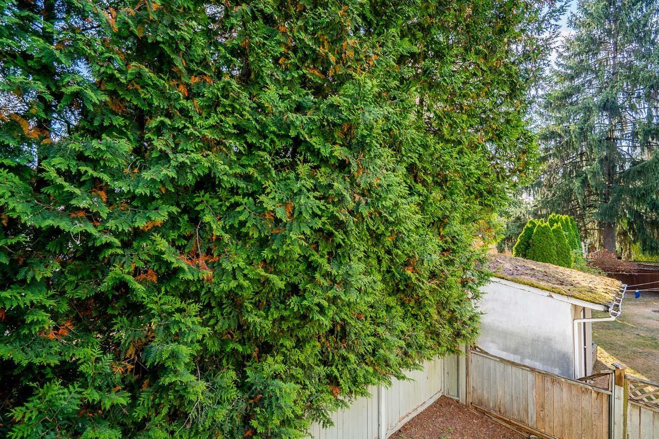 Photo of 6738 128B STREET 28