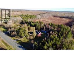 561 Chemin Tilley Road, Tilley Road, NB E8M1R9 Photo 10