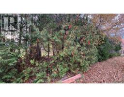 80 Taylor Lane, Hillsborough, NB E4H3E2 Photo 32