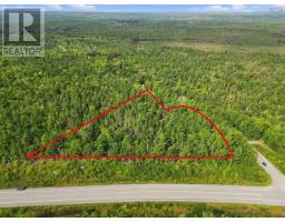 No 103 Highway, Charleston, NS B4V0X5 Photo 6