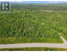 No 103 Highway, Charleston, NS B4V0X5 Photo 7