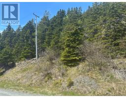 5 Corporal Jamie Murphy Drive thumbnail 4