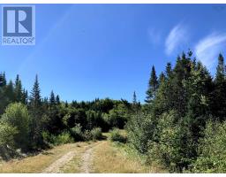 Block 3 No 316 Highway, Country Harbour, NS B0H1J0 Photo 11