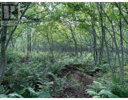 Block 3 No 316 Highway, Country Harbour, NS B0H1J0 Photo 18