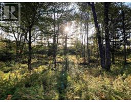Block 3 No 316 Highway, Country Harbour, NS B0H1J0 Photo 23