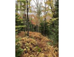 Block 3 No 316 Highway, Country Harbour, NS B0H1J0 Photo 6