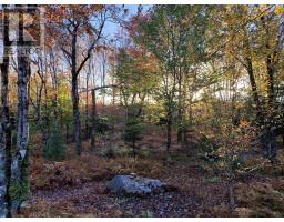 Block 3 No 316 Highway, Country Harbour, NS B0H1J0 Photo 8