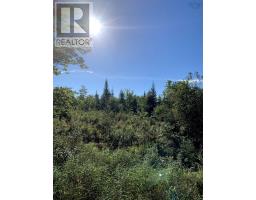 Block 4 No 316 Highway, Country Harbour, NS B0H1J0 Photo 13
