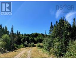 Block 4 No 316 Highway, Country Harbour, NS B0H1J0 Photo 7