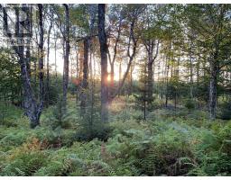 Block 7 No 316 Highway, Country Harbour, NS B0H1J0 Photo 14