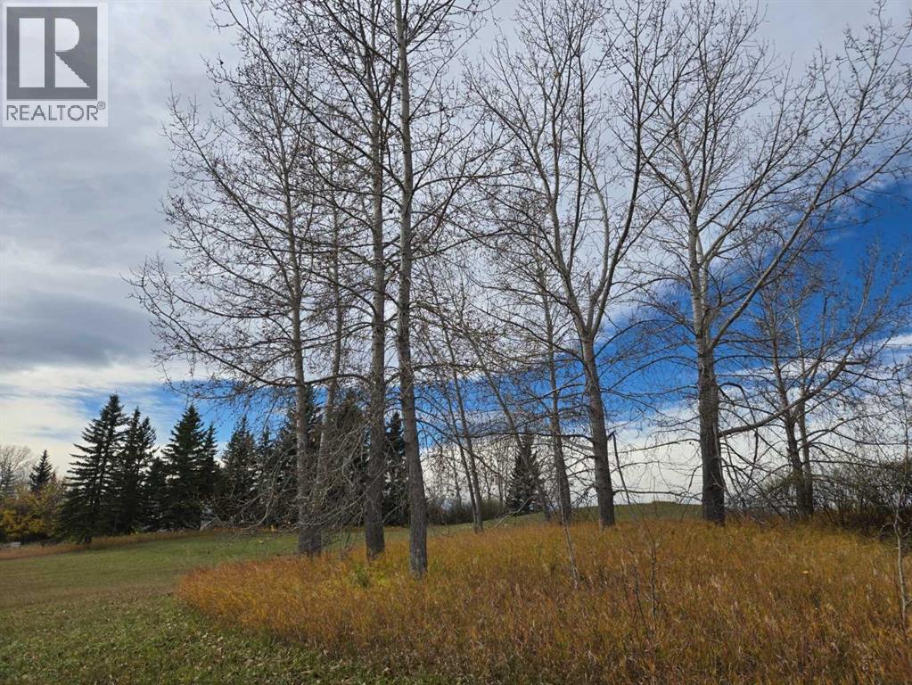 322150 8 Street E, Rural Foothills County — photo 13