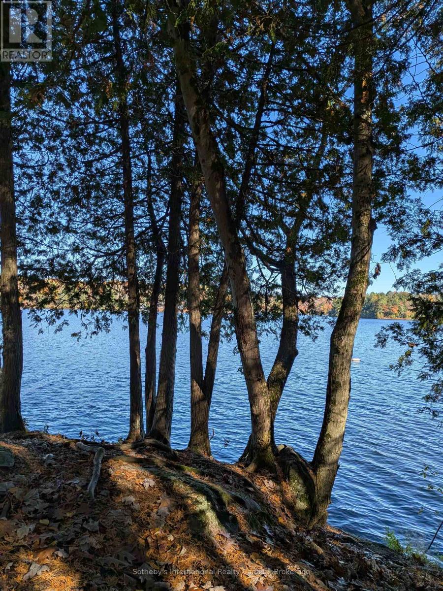 1063 WHITESIDE ROAD - 41