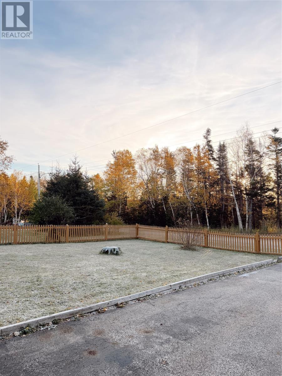 92 Juniper photo 3