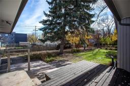 Utility room - 42 Arden Avenue, Winnipeg, MB R2M2K2 Photo 12