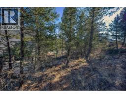 Lot 41 Cooper Road, Windermere, BC V0A1K2 Photo 7