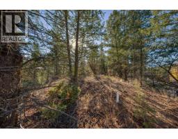 Lot 41 Cooper Road, Windermere, BC V0A1K2 Photo 11