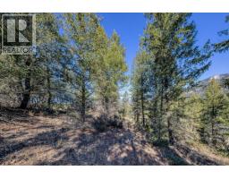 Lot 41 Cooper Road, Windermere, BC V0A1K2 Photo 9