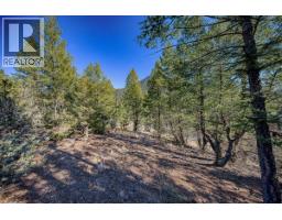 Lot 41 Cooper Road, Windermere, BC V0A1K2 Photo 13