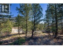 Lot 41 Cooper Road, Windermere, BC V0A1K2 Photo 10