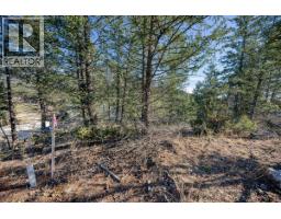 Lot 41 Cooper Road, Windermere, BC V0A1K2 Photo 8