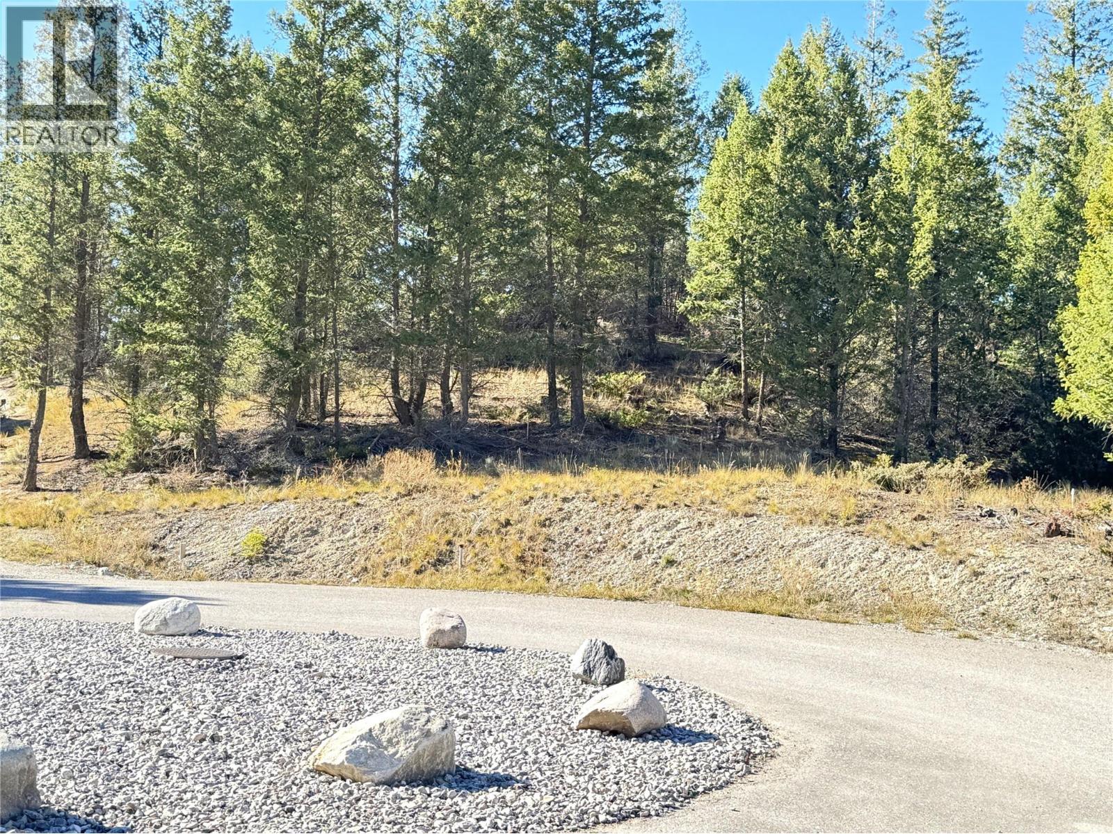 Photo 12 of 21