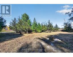00 Fortune Line Road, Rideau Lakes, ON K0E1N0 Photo 17