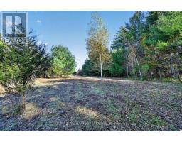 00 Fortune Line Road, Rideau Lakes, ON K0E1N0 Photo 21