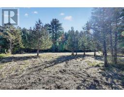 00 Fortune Line Road, Rideau Lakes, ON K0E1N0 Photo 23