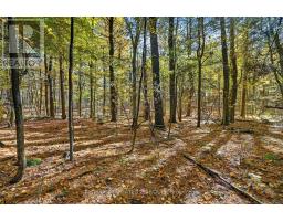 00 Fortune Line Road, Rideau Lakes, ON K0E1N0 Photo 24