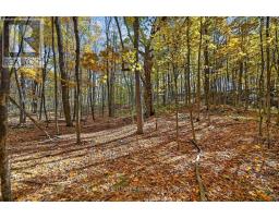 00 Fortune Line Road, Rideau Lakes, ON K0E1N0 Photo 25