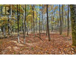 00 Fortune Line Road, Rideau Lakes, ON K0E1N0 Photo 26