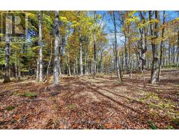 00 Fortune Line Road, Rideau Lakes, ON K0E1N0 Photo 27