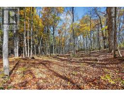 00 Fortune Line Road, Rideau Lakes, ON K0E1N0 Photo 28