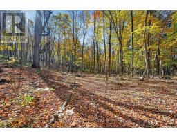 00 Fortune Line Road, Rideau Lakes, ON K0E1N0 Photo 29