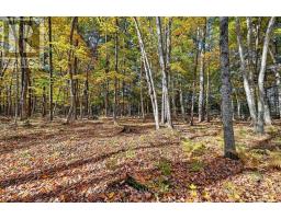 00 Fortune Line Road, Rideau Lakes, ON K0E1N0 Photo 30