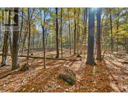 00 Fortune Line Road, Rideau Lakes, ON K0E1N0 Photo 32