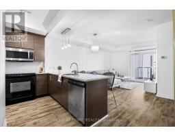 217 - 70 Forest Manor Road, Toronto, ON M2J0A9 Photo 6