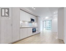 2207 - 8 Widmer Street, Toronto, ON M5V0W6 Photo 19