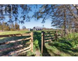 859 Eldon Road, Kawartha Lakes, ON K0M2M0 Photo 37