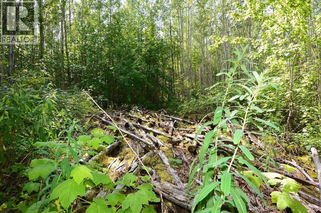 LOT 13 BREWSTER STREET, New Hazelton - Image 1