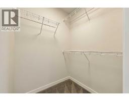1005, 132 Red Embers Link Ne, Calgary, AB T3N2X8 Photo 21