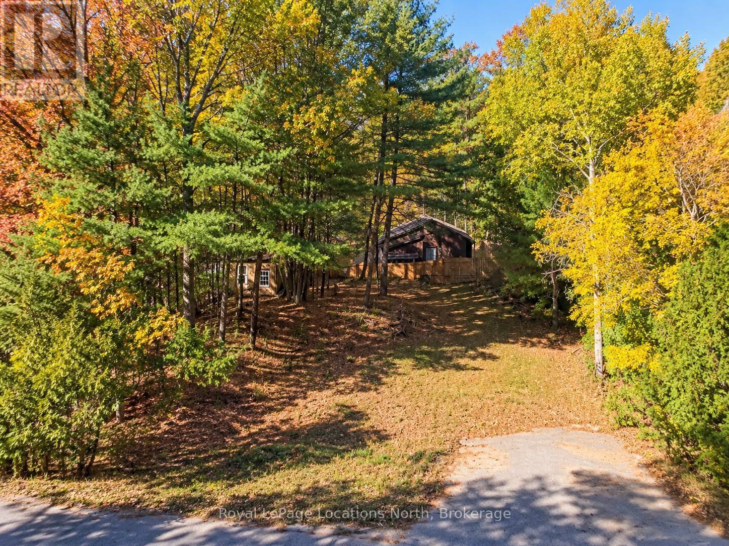 315 Sunnidale photo 3