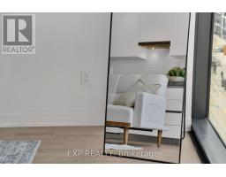 625 - 629 King Street, Toronto, ON M5V1M5 Photo 22
