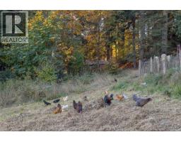 8258 Trans Canada Hwy, Westholme, BC V0R1K0 Photo 67