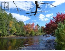 451 Muskoka Rd #10 Road, Huntsville, ON P0B1L0 Photo 37